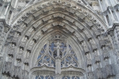 DSCN5119